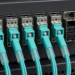 Aqua fiber jumpers seated in optical ports on a data-center networking switch.